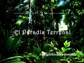 El Paradís Terrenal Ardipithecus ramidus 3 