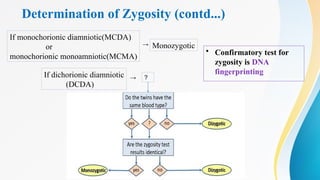 Determination of Zygosity (contd...)
• Confirmatory test for
zygosity is DNA
fingerprinting
If monochorionic diamniotic(MCDA)
or
monochorionic monoamniotic(MCMA)
Monozygotic
If dichorionic diamniotic
(DCDA)
?
→
→
 