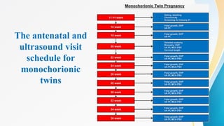 The antenatal and
ultrasound visit
schedule for
monochorionic
twins
 