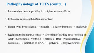 Pathophysiology of TTTS (contd…)
• Increased natriuretic peptides in recipient worsen effects
• Imbalance activates RAAS in donor twin
• Donor twin: hypovolemia → oliguria → oligohydramnios → stuck twin
• Recipient twin: hypervolemia → stretching of cardiac atria→release of
ANP→Stretching of ventricle → release of BNP→vasodilation &
natriuresis → inhibition of RAAS → polyuria → polyhydramnios
 