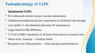 Pathophysiology of TAPS
Spontaneous TAPS:
• Few minuscule arterio-venous vascular anastomoses
• Unbalanced unidirectional slow transfusion of red blood cells through
very small (<1 mm diameter) placental AV anastomoses
• Large intertwin Hb difference
• 5-15 ml of RBC transfusion in 24 hours from donor to recipient twin
• Donor twin: Anaemia → hydrops fetalis
• Recipient twin: Polycythemia → fetal and placental thrombosis
 