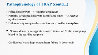 Pathophysiology of TRAP (contd...)
• Failed head growth → Acardius acephalus
• Partially developed head with identifiable limbs → Acardius
myelacephalus
• Failure of any recognizable structure → Acardius amorphous
 Normal donor twin supports its own circulation & also must pump
blood to the acardiac recipient
Cardiomegaly and high-output heart failure in donor twin
 