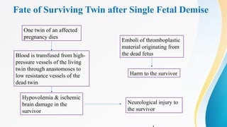 Fate of Surviving Twin after Single Fetal Demise
One twin of an affected
pregnancy dies
Blood is transfused from high-
pressure vessels of the living
twin through anastomoses to
low resistance vessels of the
dead twin
Hypovolemia & ischemic
brain damage in the
survivor
Emboli of thromboplastic
material originating from
the dead fetus
Neurological injury to
the survivor
Harm to the survivor
 