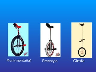 Muni(montaña) Freestyle Girafa 