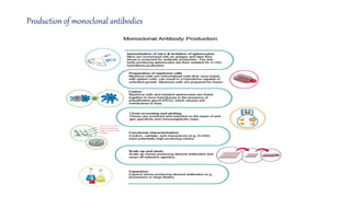 Monoclonal Antibody and Hybridoma technology | PPTX