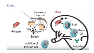 Monoclonal Antibody and Hybridoma technology | PPTX