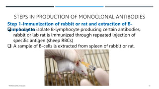 Monoclonal antibodies in e.coli