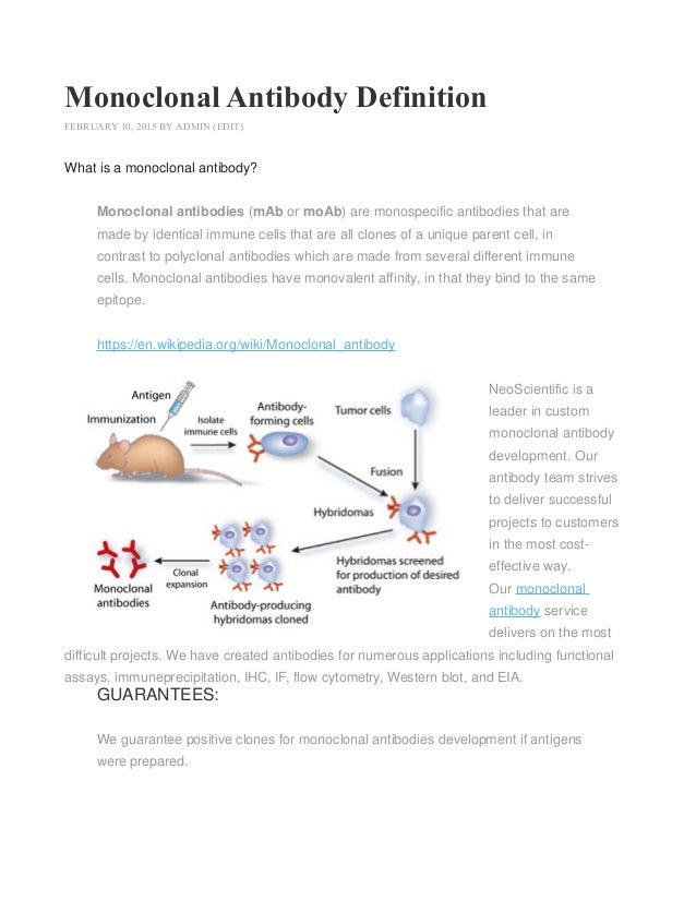 Monoclonal Antibody Definition