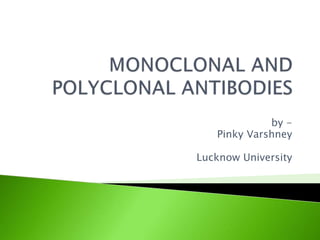 Monoclonal and polyclonal antibodies | PPTX