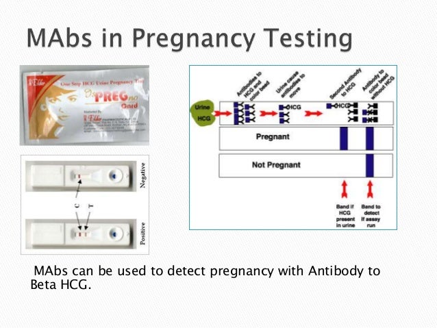 Monoclonal antibodies Clinical Significance