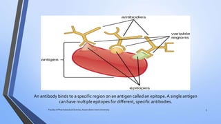 An antibody binds to a specific region on an antigen called an epitope.A single antigen
can have multiple epitopes for different, specific antibodies.
Faculty of Pharmaceutical Science, Assam down town University 5
 