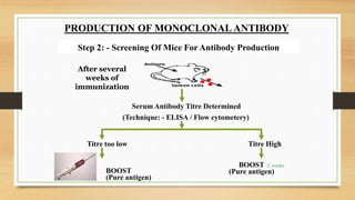 Step 2: - Screening Of Mice For Antibody Production
After several
weeks of
immunization
Serum Antibody Titre Determined
(Technique: - ELISA / Flow cytometery)
Titre too low
BOOST
(Pure antigen)
Titre High
BOOST
(Pure antigen)
2 weeks
PRODUCTION OF MONOCLONAL ANTIBODY
 