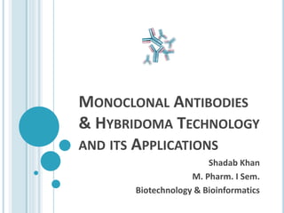 MONOCLONAL ANTIBODIES
& HYBRIDOMA TECHNOLOGY
AND ITS APPLICATIONS
Shadab Khan
M. Pharm. I Sem.
Biotechnology & Bioinformatics
 