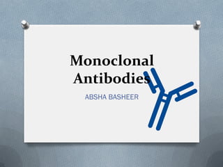 Monoclonal
Antibodies
ABSHA BASHEER
 