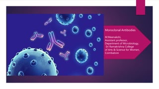 Monoclonal Antibodies
M.Meenakshi,
Assistant professor,
Department of Microbiology,
Sri Ramakrishna College
of Arts & Science for Women,
Coimbatore
 