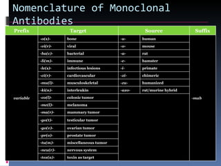 Monoclonal Antibodies and their role in Pharmacology | PPT