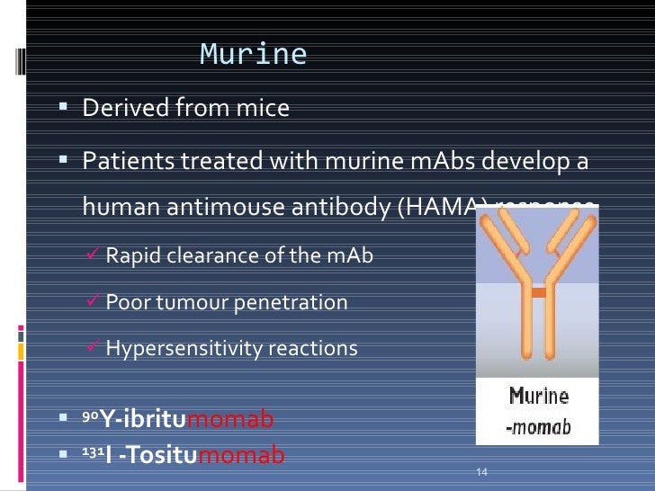Monoclonal Antibodies and their role in Pharmacology