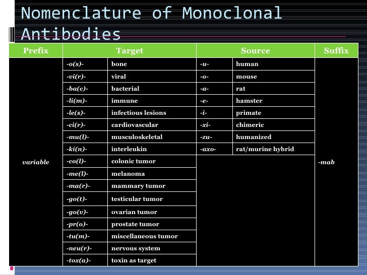 Monoclonal Antibodies and their role in Pharmacology