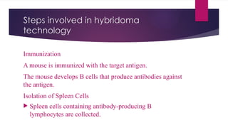Steps involved in hybridoma
technology
Immunization
A mouse is immunized with the target antigen.
The mouse develops B cells that produce antibodies against
the antigen.
Isolation of Spleen Cells
 Spleen cells containing antibody-producing B
lymphocytes are collected.
 