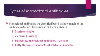 Types of monoclonal Antibodies
 Monoclonal antibodies are classified based on how much of the
antibody is derived from mouse or human protein.
1) Murine (-omab)
2) chimeric ( -ximab)
3) Humanized monoclonal antibodies ( -zomab)
4) Fully Humanized monoclonal antibodies (-umab)
 