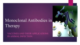 Monoclonal Antibodies in
Therapy
VACCINES AND THEIR APPLICATIONS
IN ANIMAL INFECTION
 
