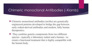 Chimeric monoclonal Antibodies (-Xiamb)
 Chimeric monoclonal antibodies (mAbs) are genetically
engineered proteins developed to bridge the gap between
early rodent-derived antibodies and modern, fully human
therapeutics.
 They combine genetic components from two different
species—typically a laboratory rodent and a human—to
create a functional treatment that is highly compatible with
the human body.
 