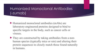 Humanized Monoclonal Antibodies
(-zumab)
 Humanized monoclonal antibodies (mAbs) are
laboratory-engineered proteins designed to bind to
specific targets in the body, such as cancer cells or
viruses.
 They are constructed by taking antibodies from a non-
human species (typically mice or rats) and altering their
protein sequences to closely match those found naturally
in humans.
 