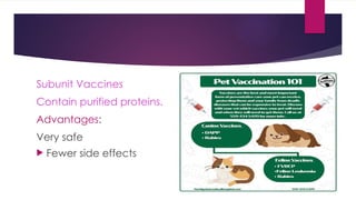 Subunit Vaccines
Contain purified proteins.
Advantages:
Very safe
 Fewer side effects
 