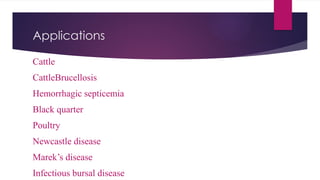 Applications
Cattle
CattleBrucellosis
Hemorrhagic septicemia
Black quarter
Poultry
Newcastle disease
Marek’s disease
Infectious bursal disease
 