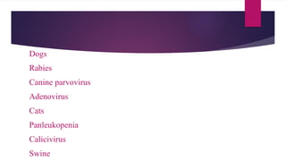 Dogs
Rabies
Canine parvovirus
Adenovirus
Cats
Panleukopenia
Calicivirus
Swine
 