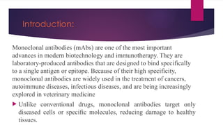 Introduction:
Monoclonal antibodies (mAbs) are one of the most important
advances in modern biotechnology and immunotherapy. They are
laboratory-produced antibodies that are designed to bind specifically
to a single antigen or epitope. Because of their high specificity,
monoclonal antibodies are widely used in the treatment of cancers,
autoimmune diseases, infectious diseases, and are being increasingly
explored in veterinary medicine
 Unlike conventional drugs, monoclonal antibodies target only
diseased cells or specific molecules, reducing damage to healthy
tissues.
 
