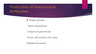 Production of monoclonal
Antibodies
 Antigen selection
|
Mouse immunization
|
Isolation of spleen B cells
|
Fusion with myeloma cells ( peg)
|
Hybridoma formation
|
 