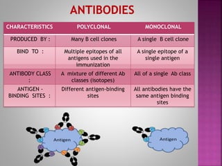 Monoclonal Antibodies & Antibody Engineering | PPTX