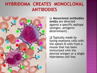 Monoclonal Antibodies & Antibody Engineering | PPTX