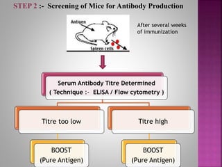 Monoclonal Antibodies & Antibody Engineering | PPTX