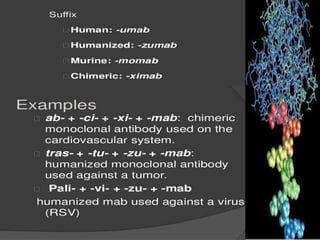 Monoclonal Antibodies & Antibody Engineering | PPTX
