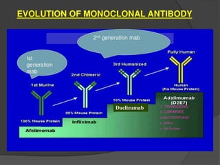 Monoclonal Antibodies & Antibody Engineering | PPTX