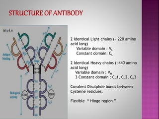 Monoclonal Antibodies & Antibody Engineering | PPTX