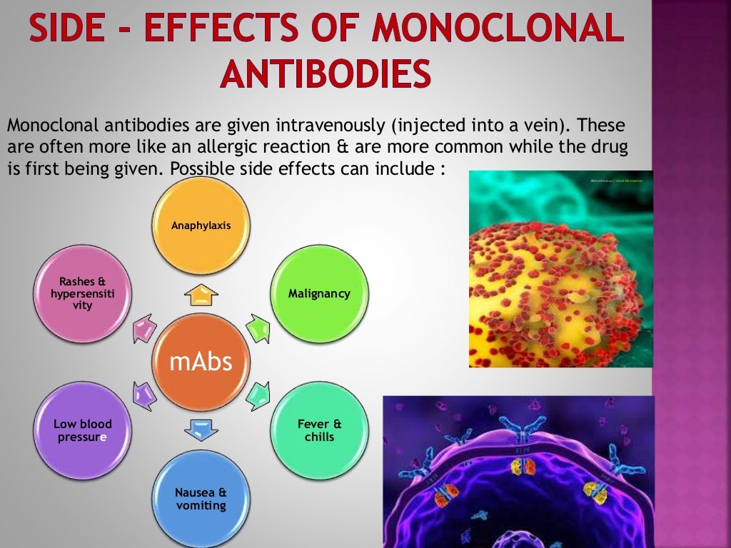 Monoclonal Antibodies & Antibody Engineering