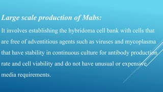 Large scale production of Mabs:
It involves establishing the hybridoma cell bank with cells that
are free of adventitious agents such as viruses and mycoplasma
that have stability in continuous culture for antibody production
rate and cell viability and do not have unusual or expensive
media requirements.
 