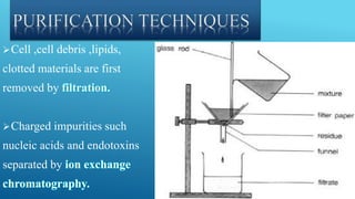 Cell ,cell debris ,lipids,
clotted materials are first
removed by
Charged impurities such
nucleic acids and endotoxins
separated by
 