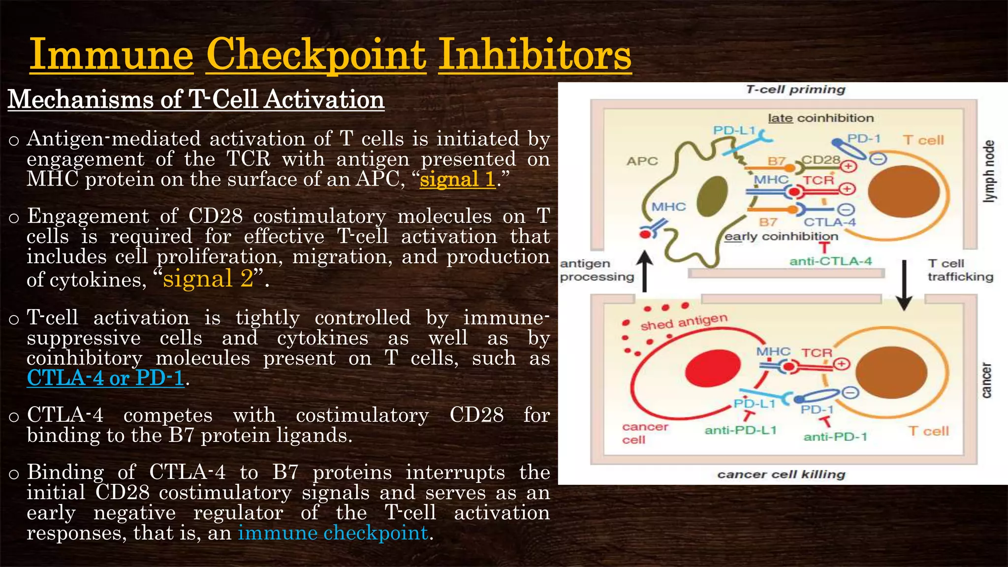 Monoclonal antibodies in cancer therapy | PPTX