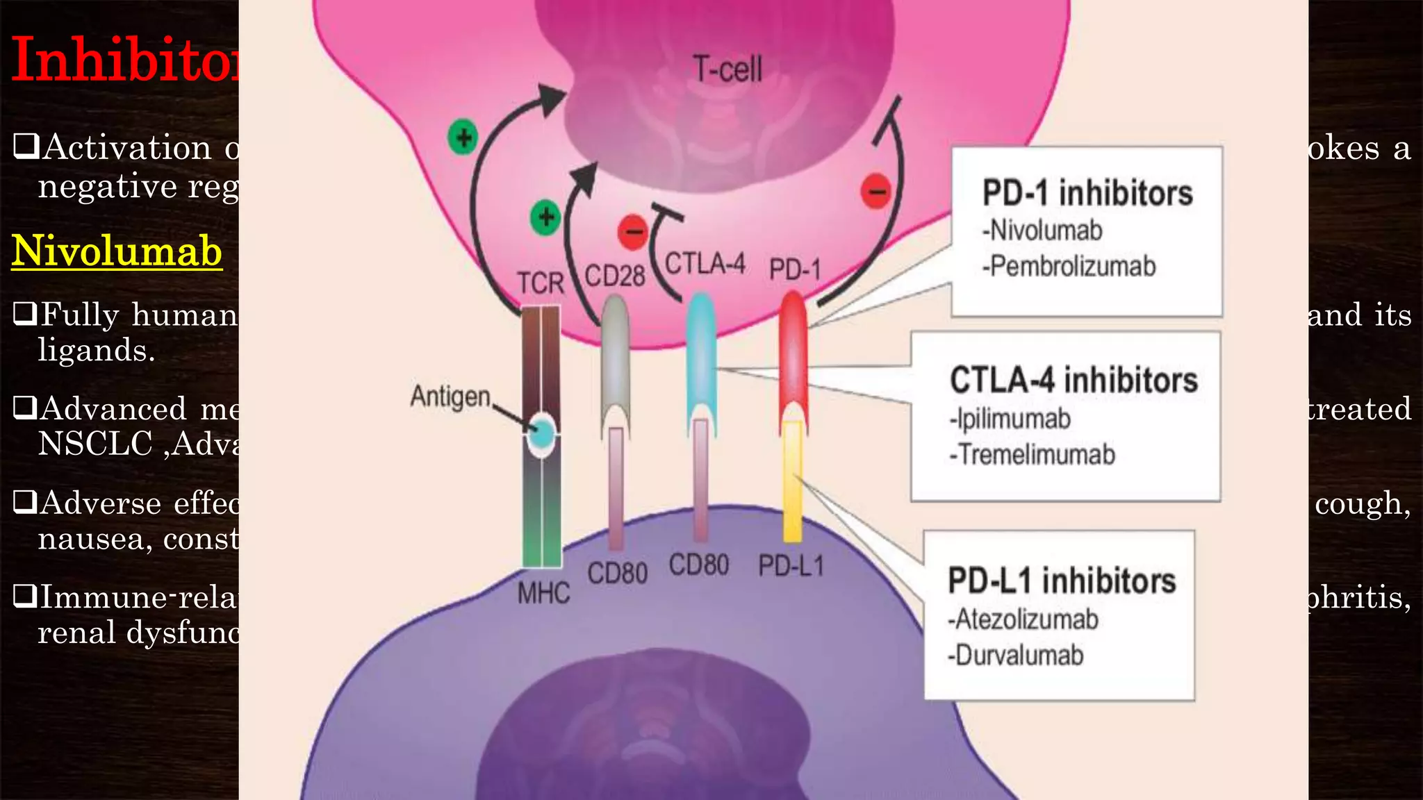 Monoclonal antibodies in cancer therapy | PPTX