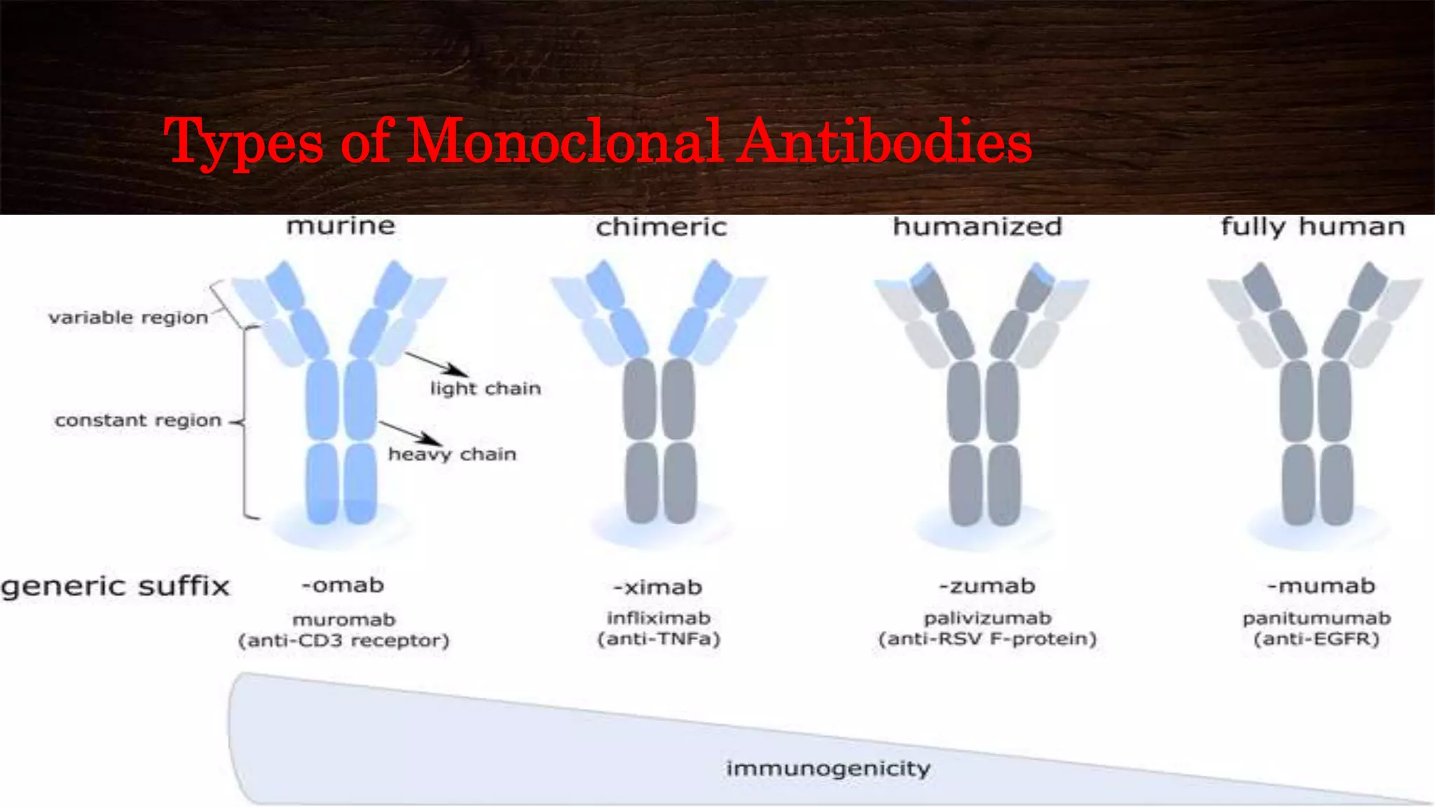 Monoclonal antibodies in cancer therapy | PPTX