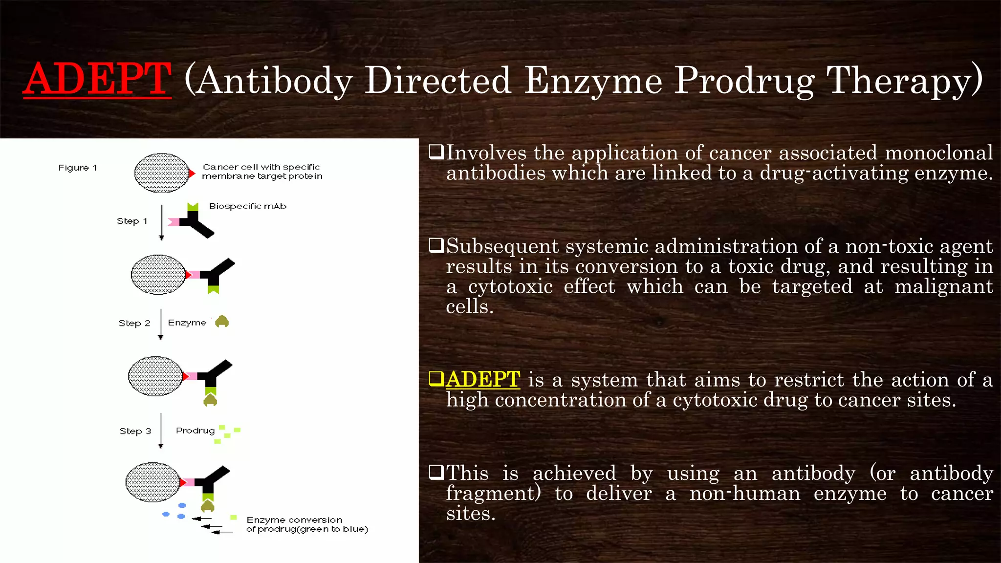 Monoclonal antibodies in cancer therapy | PPTX