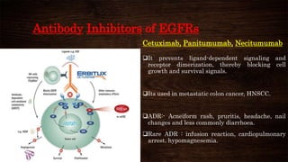 Monoclonal antibodies in cancer therapy | PPTX