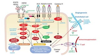 Monoclonal antibodies in cancer therapy | PPTX