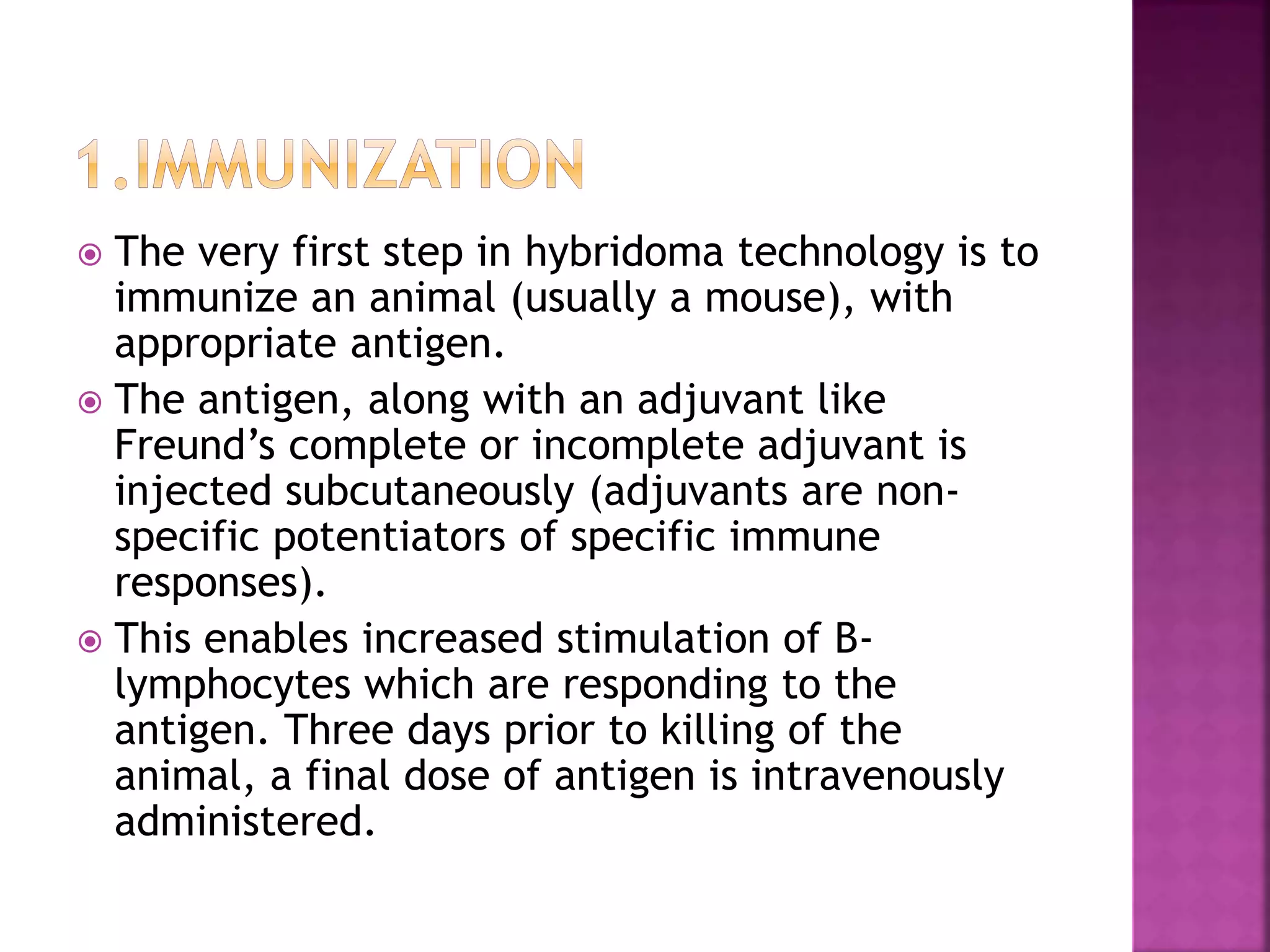 Monoclonal antibodies production | PPTX