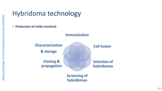 Hybridoma technology
• Production of mAbs involved:
ManipalCollegeofPharmaceuticalSciences(MCOPS)
Immunization
Cell fusion
Selection of
hybridomas
Screening of
hybridomas
Cloning &
propagation
Characterization
& storage
10
 