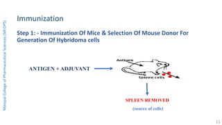 Immunization
Step 1: - Immunization Of Mice & Selection Of Mouse Donor For
Generation Of Hybridoma cells
ManipalCollegeofPharmaceuticalSciences(MCOPS)
ANTIGEN + ADJUVANT
SPLEEN REMOVED
(source of cells)
11
 